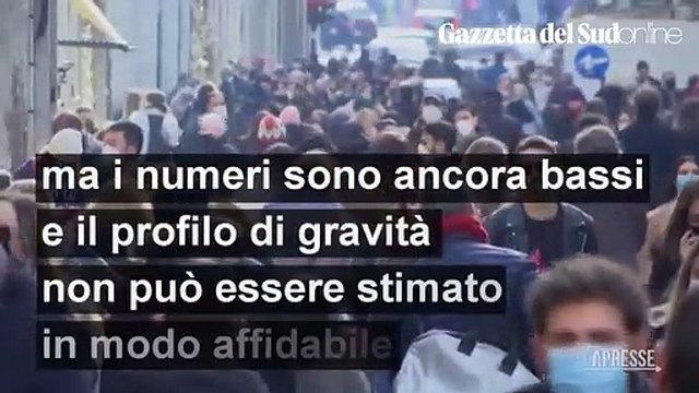 Vaiolo delle scimmie, cosa sappiamo: dai sintomi al vaccino