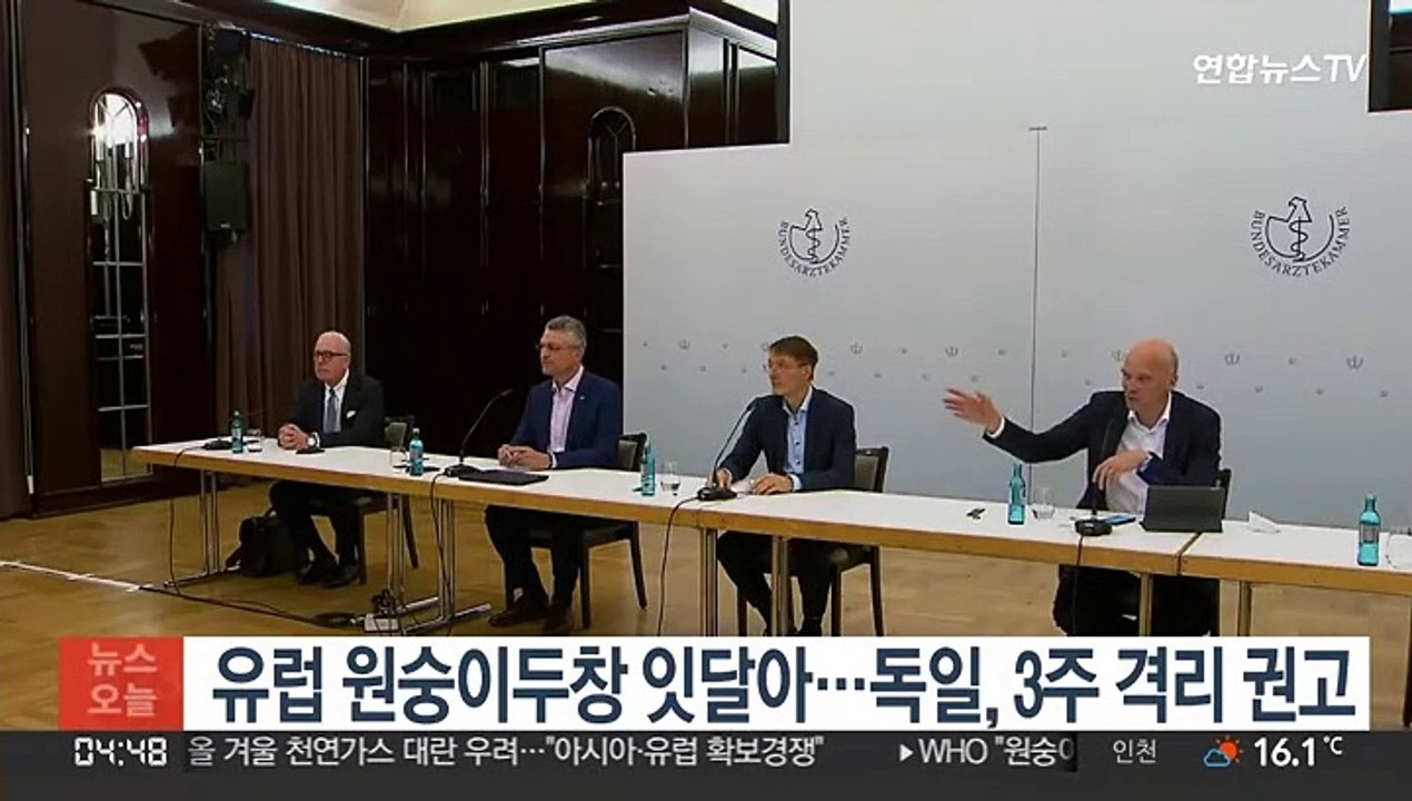 유럽 원숭이두창 잇달아…독일, 3주 격리 권고