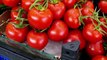 Science Unlocks the Vitamin D Potential of Tomatoes