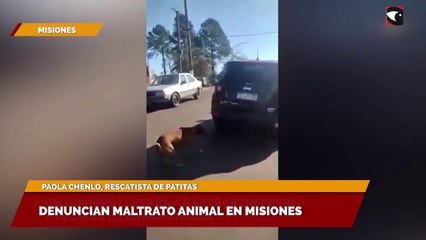 Denuncian maltrato animal en Misiones