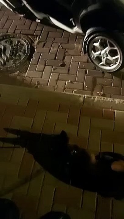 צפו במפגש המרגש כפי שתועד עי השוטר