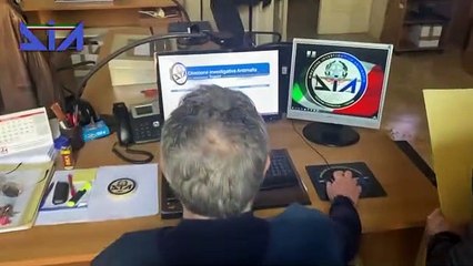 Nel Trapanese tombaroli di Cosa Nostra