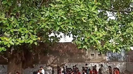 स्काउट-गाइड की ओर से 23 जून तक चलेगा शिविर