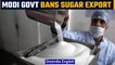 India bans export of sugar from June 1st to control inflation | Oneindia News