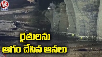 Paddy Grains Submerged In Rain Water At Jagital Market Yard _  V6 News