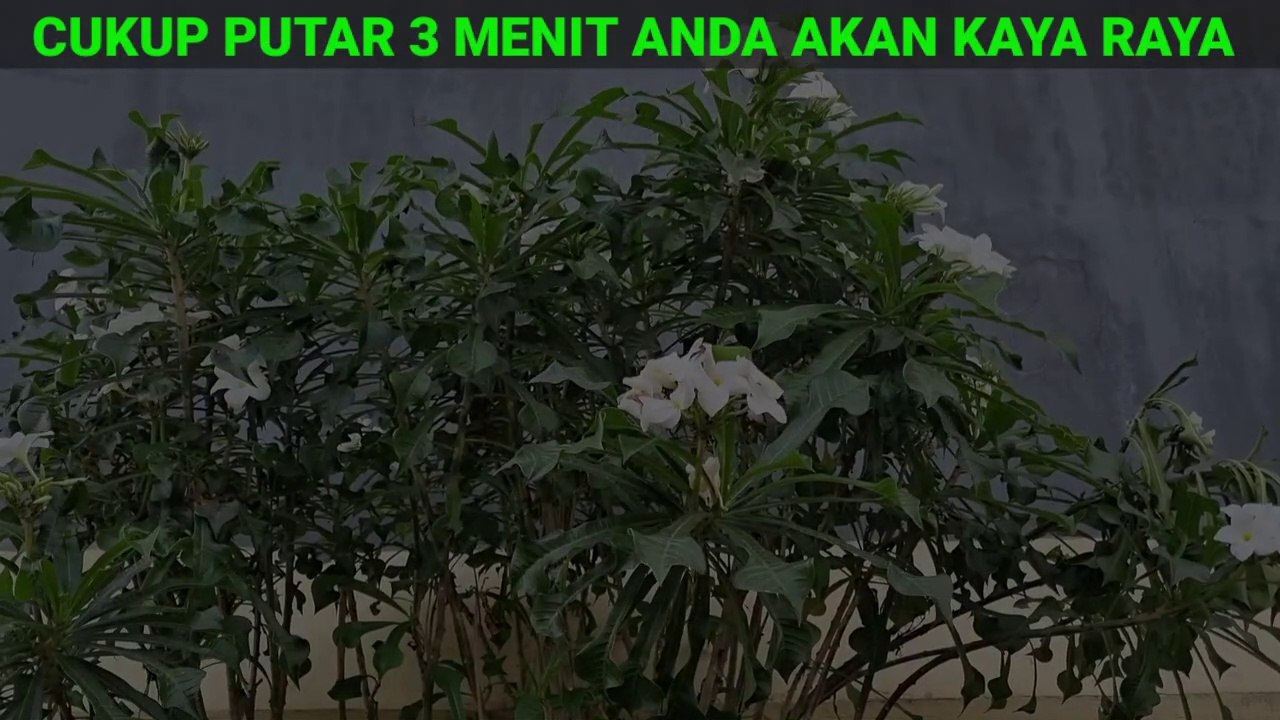 Segunung Emas, Baca 2 Doa Ajaib Ini, Rezeki Mengalir Deras