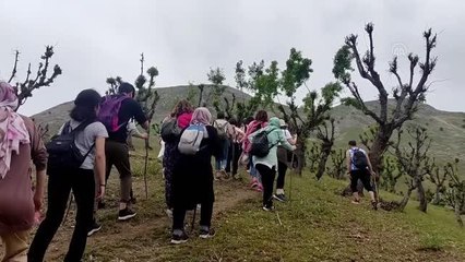 Doğaseverler Batman'daki ters laleleri görmek için Ziyaret Tepesi'ne tırmandı