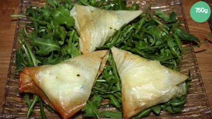 Bricks au Chèvre Basilic