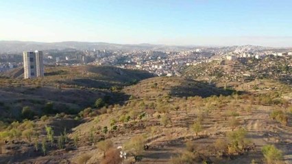 Büyükelçi Eşleri, Çankaya Belediyesi'nce Yapımı Süren Bademlidere Kent Ormanı'na Fidan Dikti