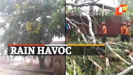 Nor'wester Rains Cause Widespread Damage In Koraput, Odisha