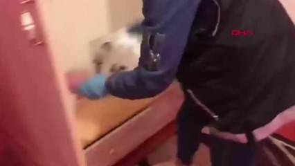 İSTANBUL'DA DEV UYUŞTURUCU OPERASYONU: İRANLI BARON DA YAKALANDI