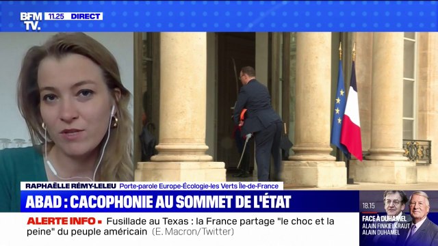 La porte-parole Europe Écologie Les Verts d'Île-de-France réclame la démission de Damien Abad