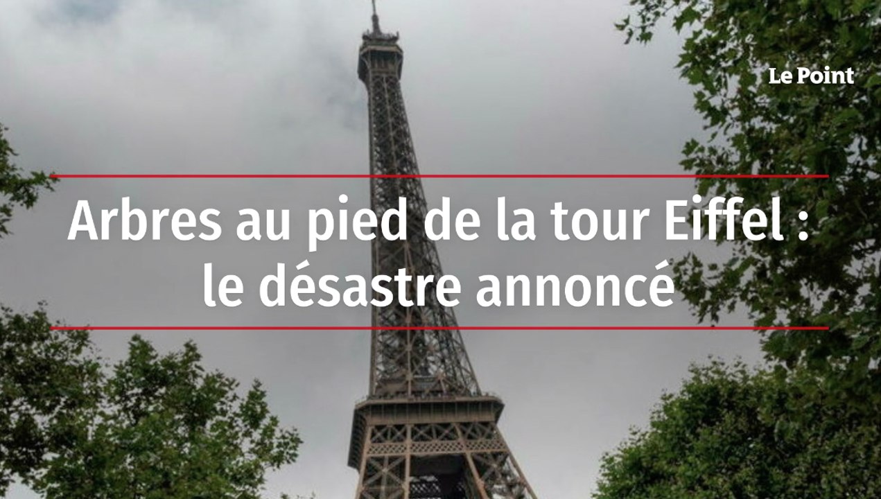Arbres au pied de la tour Eiffel : le désastre annoncé