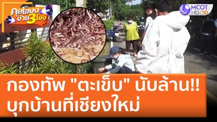 กองทัพ "ตะเข็บ" นับล้าน!! บุกบ้านที่เชียงใหม่ (25 พ.ค. 65) คุยโขมงบ่าย 3 โมง