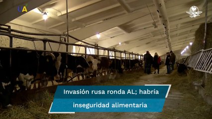 A 3 meses de la invasión de Rusia en Ucrania, el temor es una crisis alimentaria