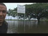 Hawaii - Hilo Underwater