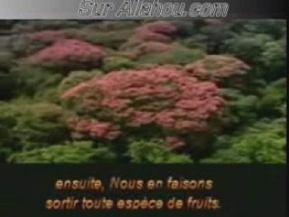 LA TEMPETE ? pourquoi ?