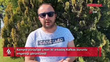 Kampta yürüyüşe çıkan iki arkadaş Kafkas burunlu engereği görüntüledi