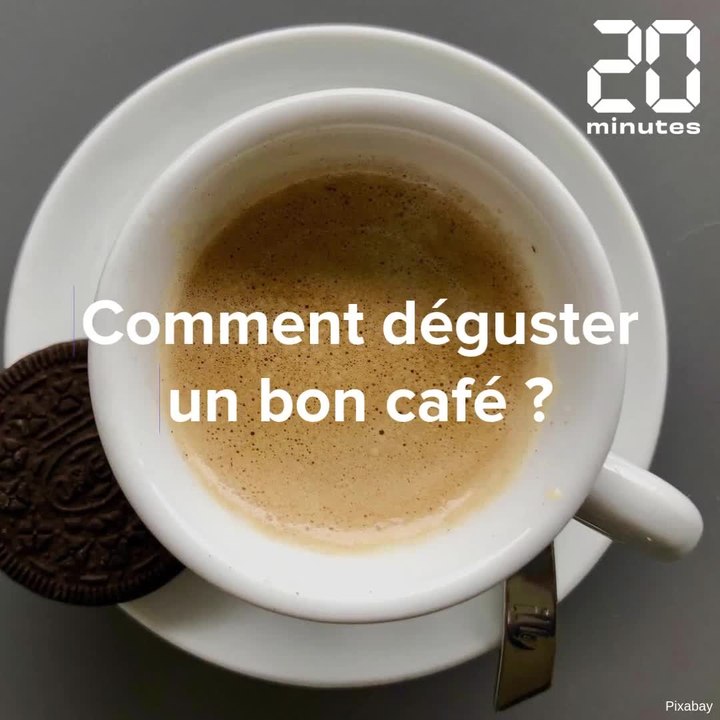 Comment déguster un bon café ? Les conseils du champion de France