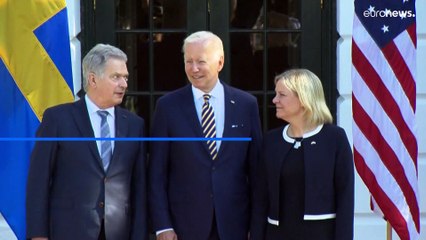 Se Finlandia e Svezia entrassero nella Nato, rimarrebbero solo 4 Paesi UE fuori dall'Alleanza