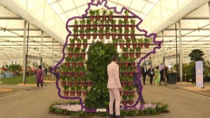 Il clima e la regina Elisabetta al centro del Chelsea Flower Show