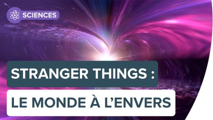 Le Monde à l'envers de Stranger Things pourrait-il exister ? | Futura