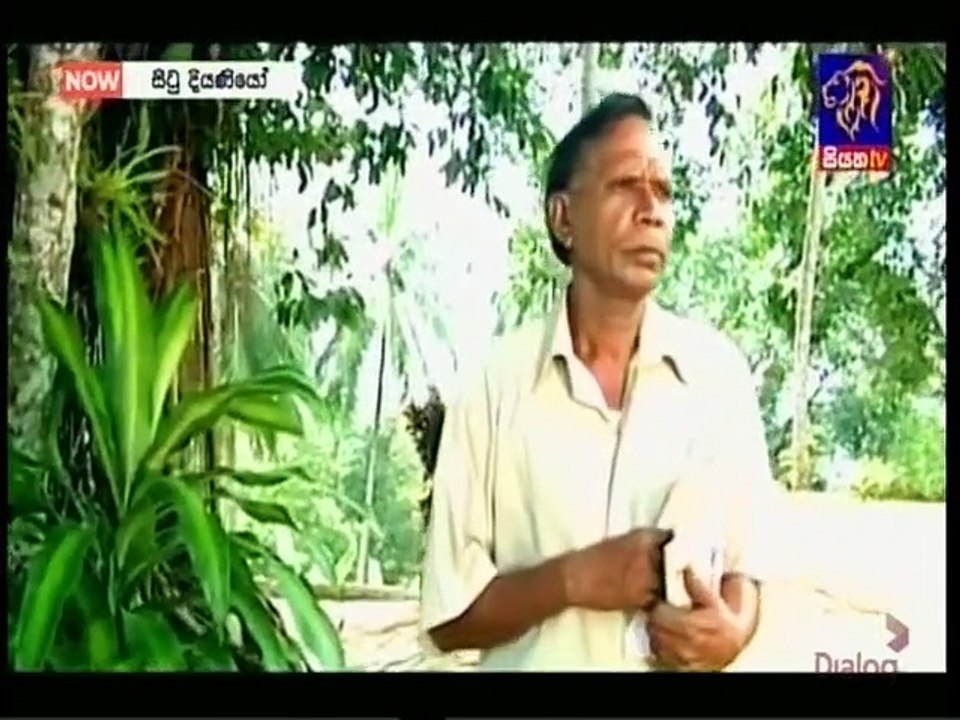 Situ Diyaniyo (12) 25-05-2022