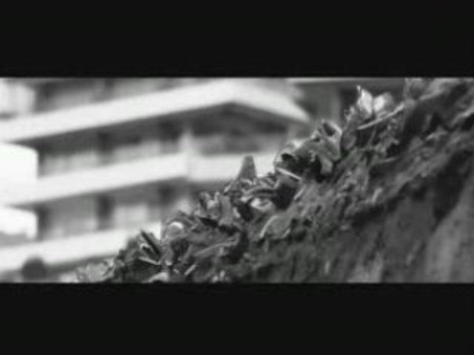 Clip Marseille City version intégrale SAT l'artificier