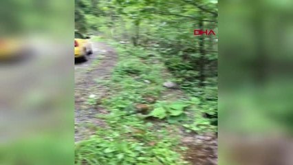 DEREYE DÜŞEN ARAÇTAN HALATLARLA KURTARILDILAR