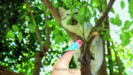 SENI LUKIS JARI DAN IDE CORETAN LUCU