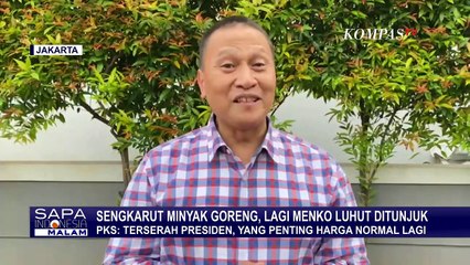 Punya Tugas Baru, Luhut Ditunjuk Atasi Masalah Minyak Goreng