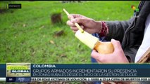 Colombia: CNE informa que las elecciones serán sin auditoría internacional