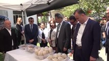 Sinop'un yöresel ürünleri sergilendi