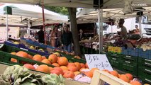 Studie: Frisches Obst und Gemüse in der EU mit Pestiziden verseucht