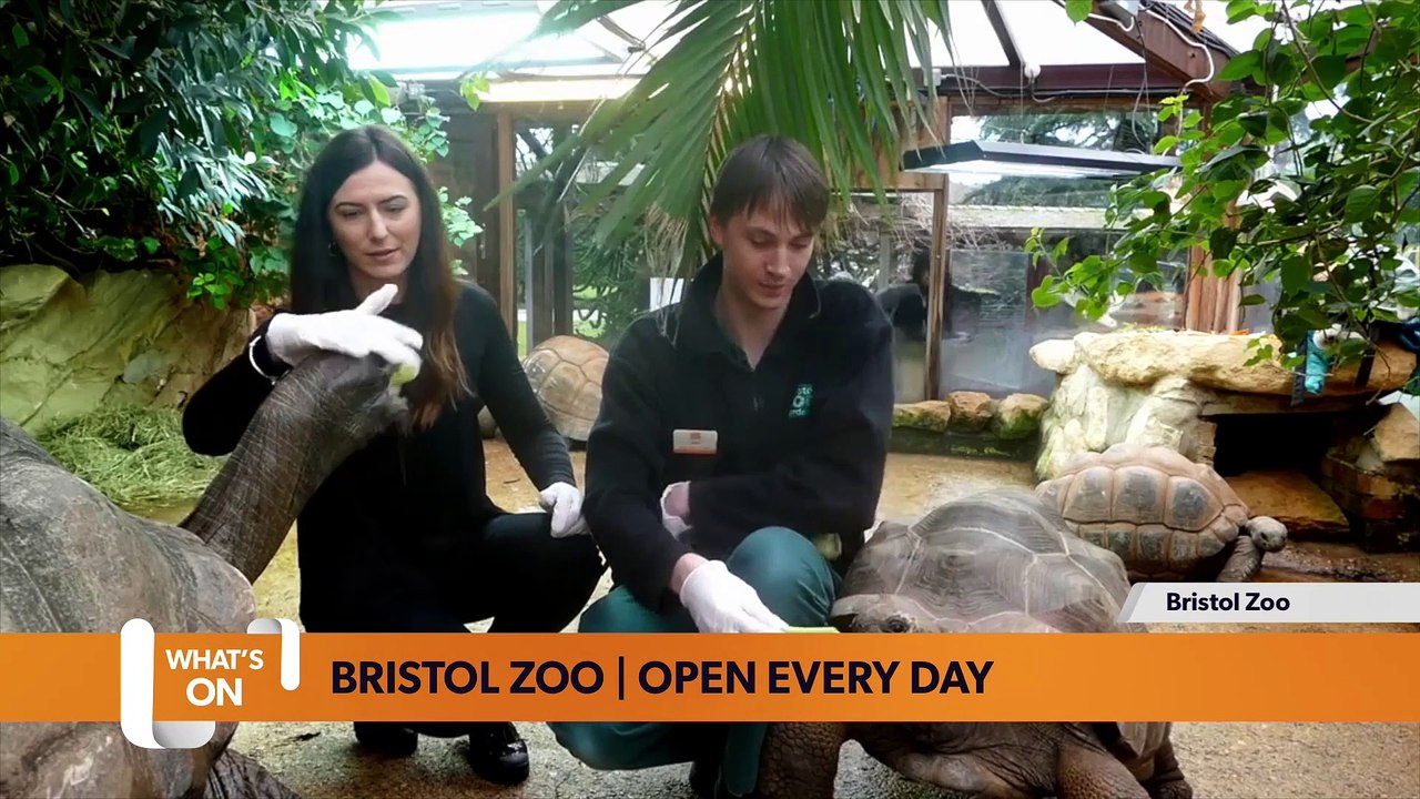 Events in Bristol: Looking for something to get up to this half term? Here is your What’s On Guide for Bristol