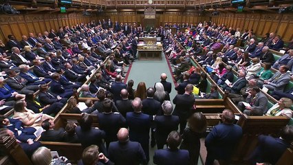 Sue Gray report: Vomit, punch-ups and a broken slide