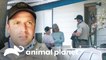 Operações para combater maus-tratos contra animais | Patrulheiros da Natureza | Animal Planet Brasil