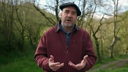 EiTB pide disculpas ante el Parlamento Vasco por un programa que cuestionaba la llegada de inmigrantes españoles