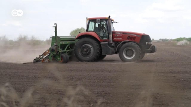 Украинское зерно: как заминированные поля и заблокированные порты сказываются на фермера (25.05.2022)