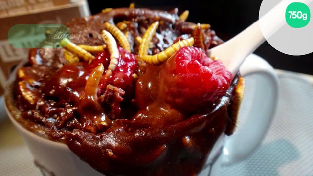Mug cake chocolat framboises Molitor (vers de farine)