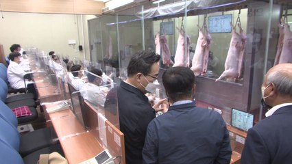 "돼지고기 상승 잡기 위해 농가 사료비 1.5조 지원" / YTN