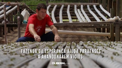 Fazenda da Esperança ajuda paraenses a abandonarem vícios 