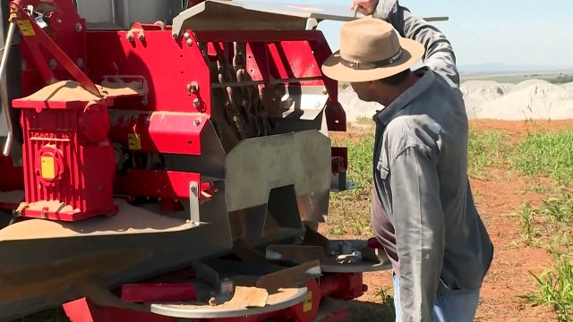 Guerra da Ucrânia leva o Brasil a optar por fertilizantes naturais