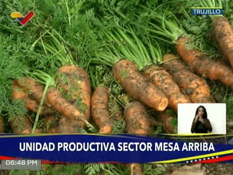 Trujillo | Comuna Chávez y Bolívar produce 27 rubros estratégicos que van directo a las familias