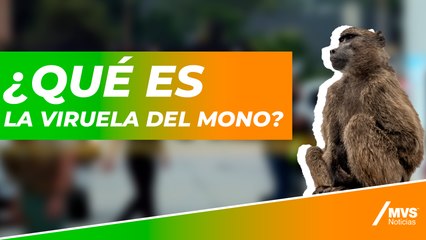 ¿Cómo identificar la viruela del mono?