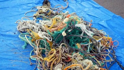 WA artists transform marine rubbish into works of art