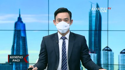 Kayu Jati dan Meranti Senilai Rp 16 Miliar Hasil Penebangan Liar Disita