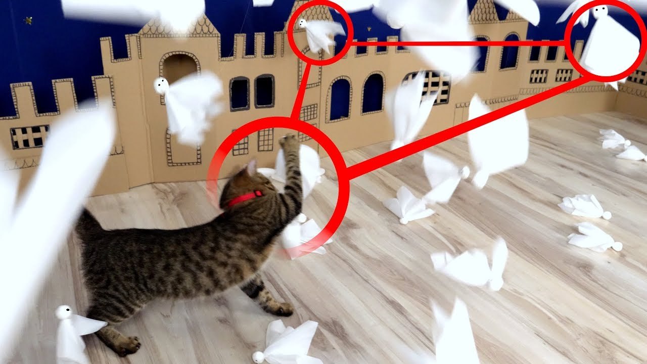 Cat Kitten ATTACK on Ghost Town in Real Life.