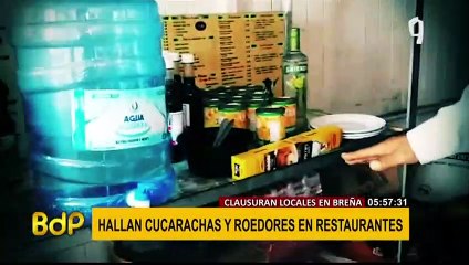 Download Video: Breña: Hallan cucarachas y roedores en restaurantes