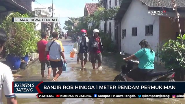 Banjir Rob Hingga 1 Meter Rendam Permukiman Warga Demak